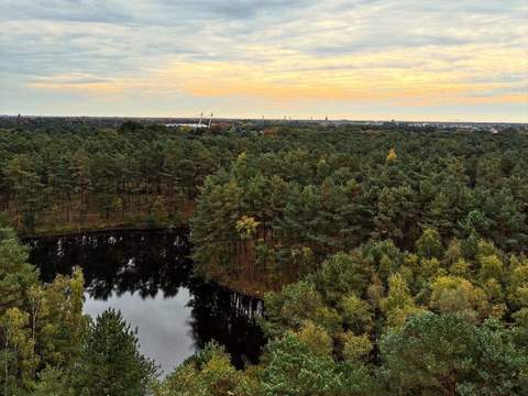 Nationaal Park Bosland
