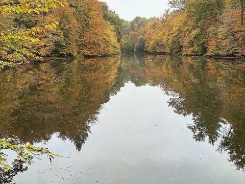 Nationaal Park Scheldevallei